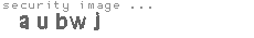 security image