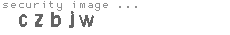 security image