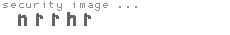 security image