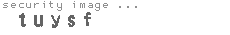 security image