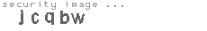 security image