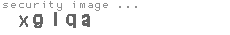security image