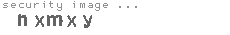 security image