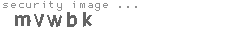 security image