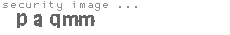 security image