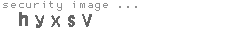 security image