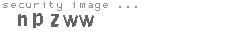 security image