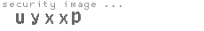 security image