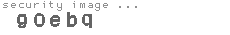 security image