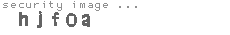 security image