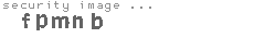 security image