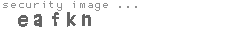 security image
