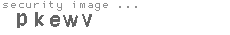 security image