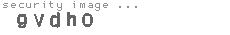 security image
