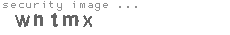 security image