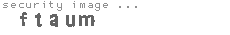 security image