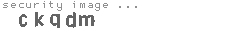 security image