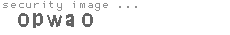 security image