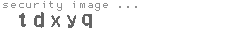 security image
