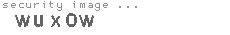 security image