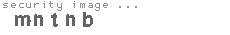 security image
