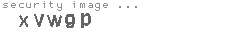 security image