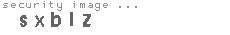 security image