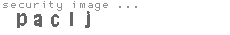 security image
