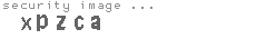 security image