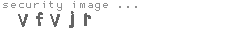 security image