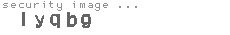 security image