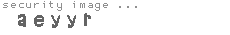 security image