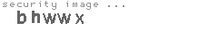 security image