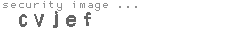 security image