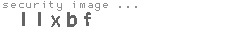 security image