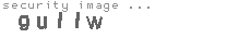 security image