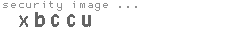 security image