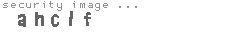 security image