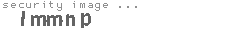 security image