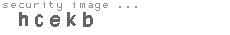 security image