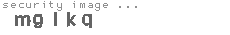 security image