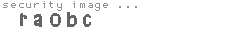 security image