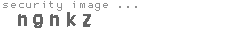 security image