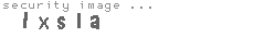 security image