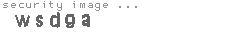 security image