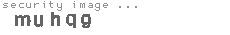 security image
