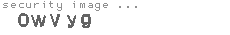 security image