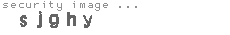security image