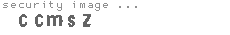 security image