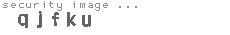 security image